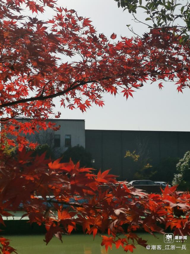 写点生活｜长兴水口疗养记