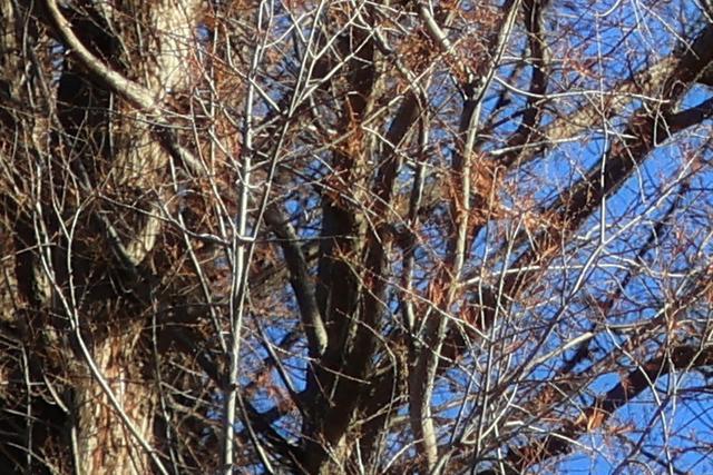 花小钱就能拥有梦幻F1.2大光圈 佳能RF45mm F1.2 STM评测