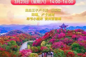 惊喜福利来袭！“上春山·百里杜鹃电商好礼”活动今日开播图片