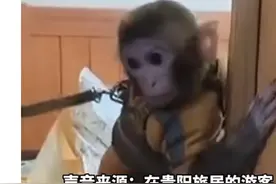 女子救下猕猴养半年 官方：涉嫌违法图片
