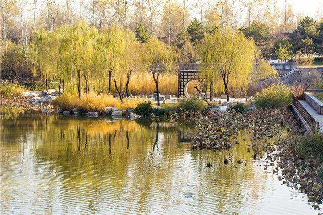 一键Get√氛围感！来这里，将海淀的秋收在镜头中——