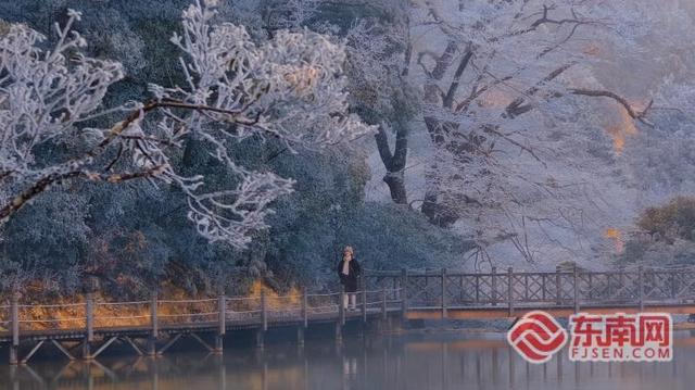 【组图】三明泰宁峨嵋峰现雾凇奇观