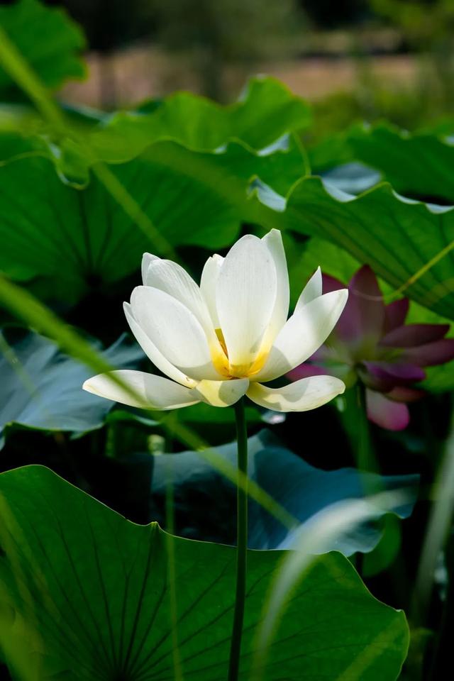 宜都，太有“感觉”了！