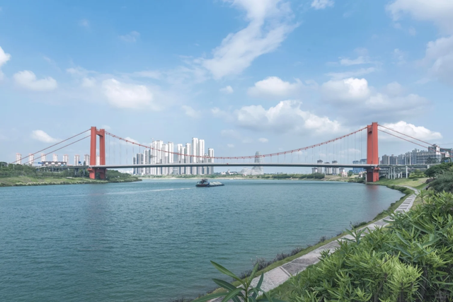 秋染良庆！异木棉粉、三角梅艳，这片土地藏着最缤纷的秋日浪漫