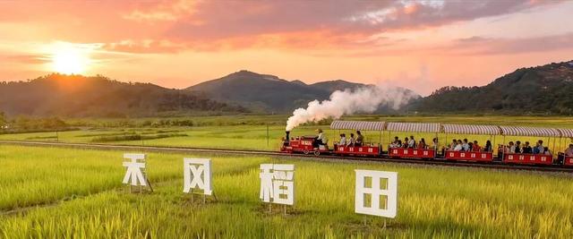 门票免费送！四会禾风稻田农场童玩节即将开启