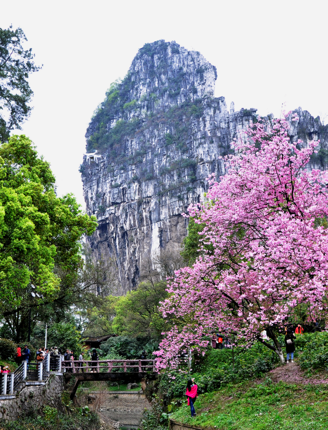 谁说旅行只能疲于奔命？来南溪山公园，解锁“山水+咖啡”的慢生活天花板！