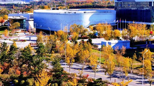 秋韵未央！来威海临港区，邂逅五彩斑斓的美！