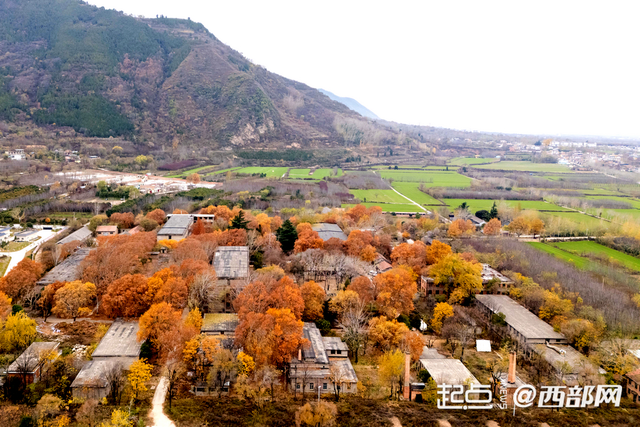 我家门口变了样｜西安风雷年代影视基地：钟楼往南20公里 藏着一座“时光片场”！