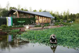 光影秀、即兴音乐快闪 北京温榆河公园成消夏夜游好去处图片