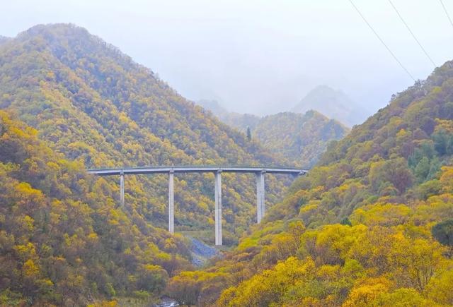 “环北龙山旅游风景道”获评“2025年度美丽公路项目”