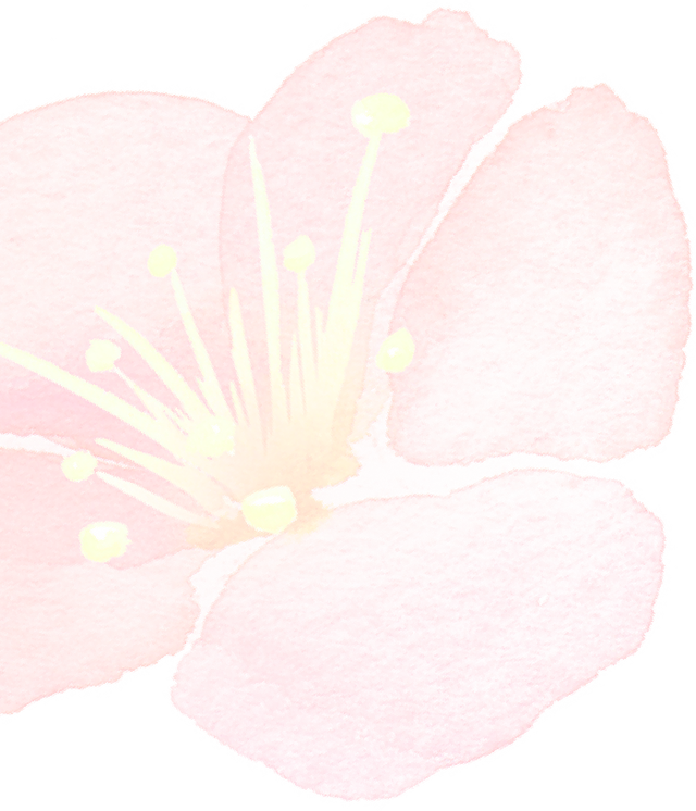 惊艳春晚的“王昭君”同款！三八女神节，去昭君故里赴一场汉服之约，做自己的“当代花神”！