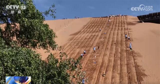探秘雨林、寻踪国宝、见证奇迹……研学游持续升温点亮“暑期经济”