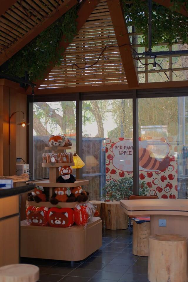 欢迎来到熊猫的家！保姆级攻略请收好！