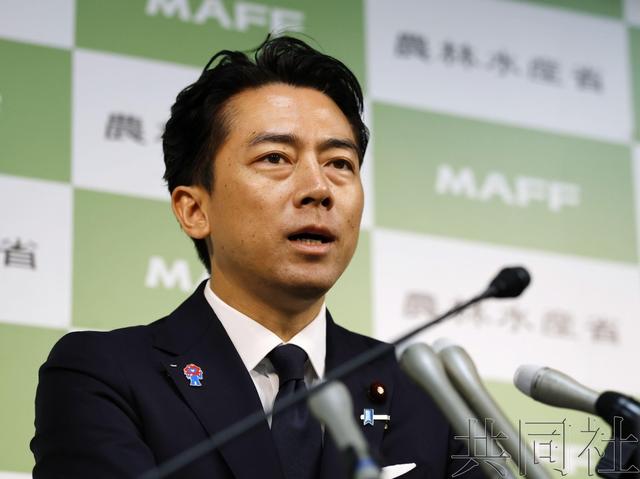 高市和小泉成自民党总裁热门人选