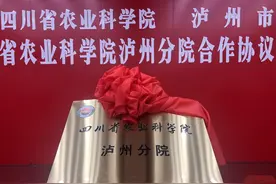 省农科院泸州分院揭牌，院地将共建“一院一基地一中心一圃”图片