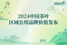 2024中国茶叶区域公用品牌价值评估结果发布 安化黑茶位列前十图片