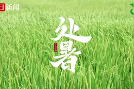 遇见江陵|处暑时节稻花开图片