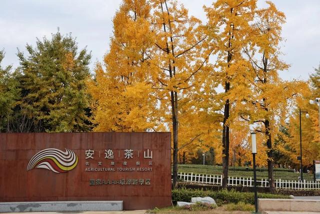 茶山美宿，安逸悠闲的秋假攻略请收好~