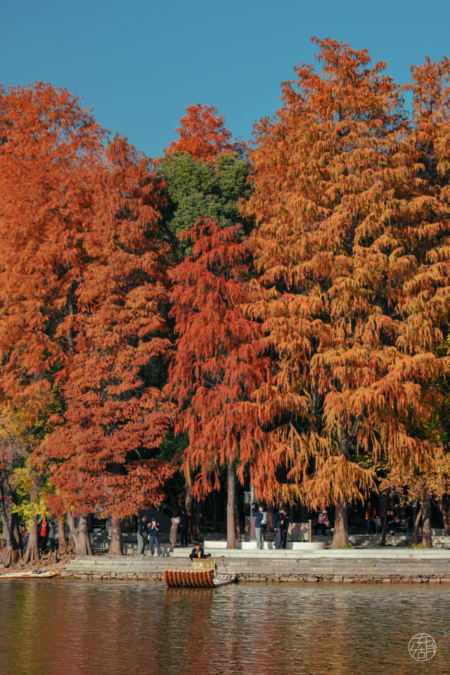 东湖这四处绝美秋景，出片率100%