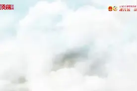 特刊丨听，中原大地的春日交响图片