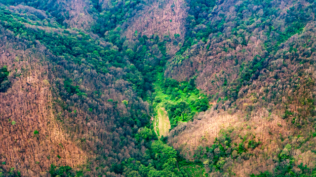 青山绿水｜河南遂平：飞瀑流泉润青山