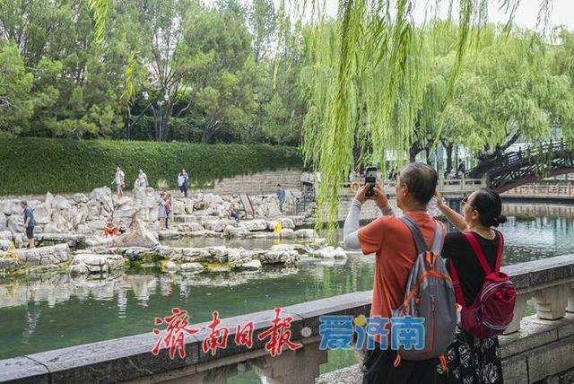 一年四季 泉在济南丨又到秋雨连绵，济南何处最美？护城河畔泉水清冽醉游人