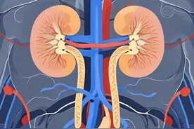 健康科普|小心！泌尿系结石可能正在悄悄 “盯上” 你图片