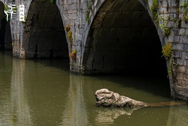 秦淮citywalk｜七桥瓮湿地公园
