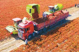 中国辣椒年产量稳居世界第一，食辣人口超5亿——小辣椒长成大产业图片
