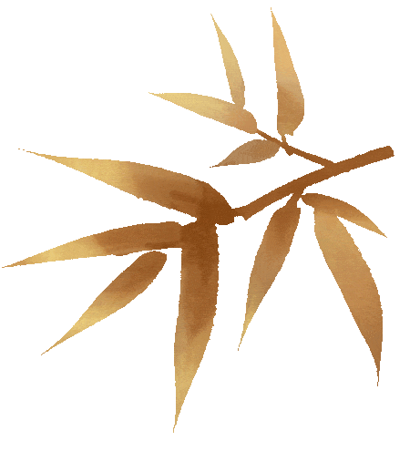 节日里的凌源博物馆