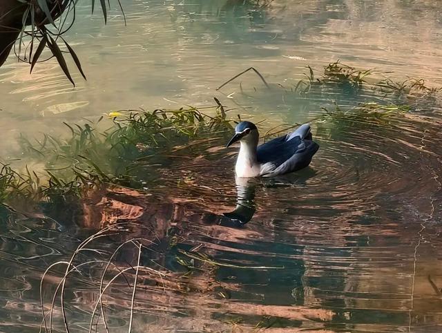 误闯仙境！来越秀，邂逅现实版「水墨画」