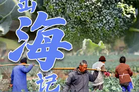 “城”势而上 | 西兰花出“海”记图片