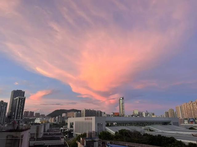 八月的尾声，深圳霞光倾城