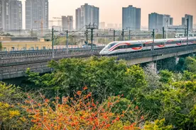 清明假期广铁预计加开夜间高铁164列图片