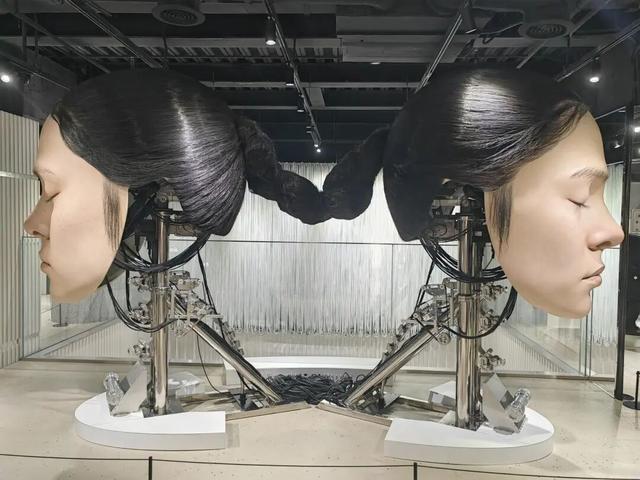 上海市中心惊现冬日“花海”！这片超火爆限时空间又焕新！明星也来打卡→