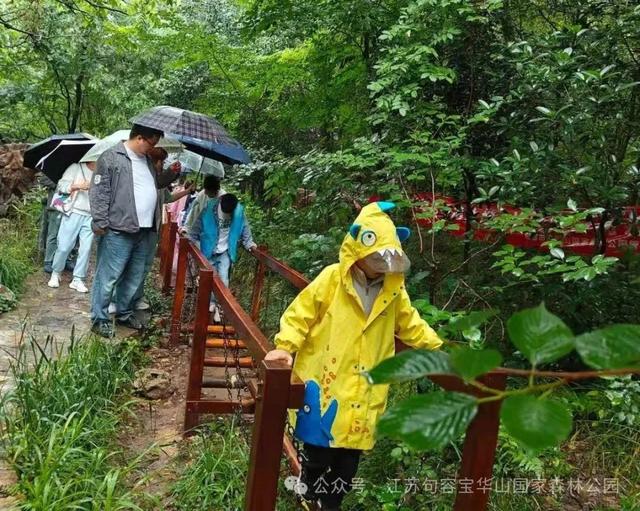 宝华山科普研学招募！速报名