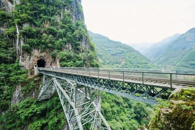 来苗乡屏边，过云端慢生活
