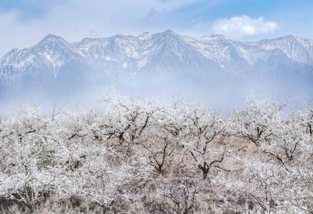 来漾濞的十个理由！每个都很好……