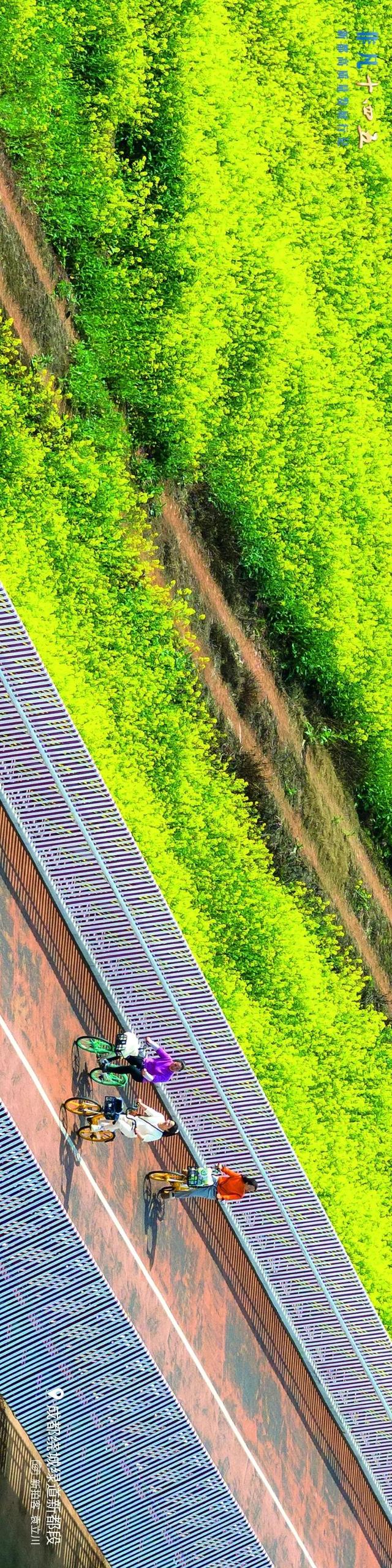 飞“阅”新都 | 一座生长在公园里的城市