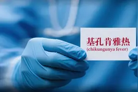 浙江被归为防控基孔肯雅热Ⅰ类地区，沪苏皖为Ⅱ类图片