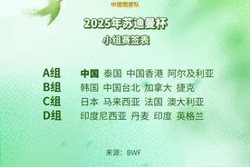 2025年苏迪曼杯中国队同组对手确定图片