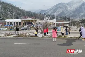 网红“苏仙南”踏雪而来图片