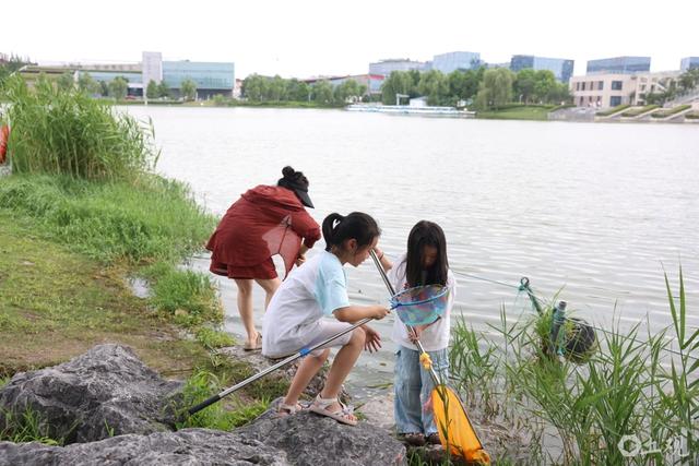 场面｜立秋非入秋，酷暑依旧，太阳落山公园绿地迎来消暑的人群