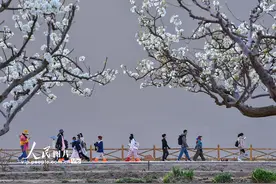 甘肃敦煌春意渐浓图片