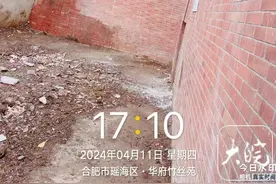 新闻曝光之后｜合肥一别墅小区“堆积如山”的垃圾已清运完毕图片