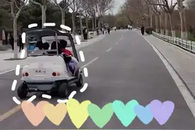 纵览视频｜春天去哪玩？石家庄市动物园最新游园攻略来喽！图片