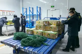 贵阳机场国际货运中心迎来首批入境水果图片