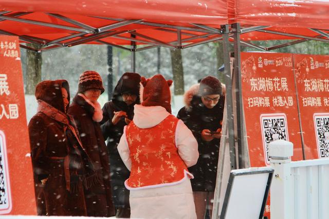 武汉下雪了！东湖梅园上演现实版“踏雪寻梅”