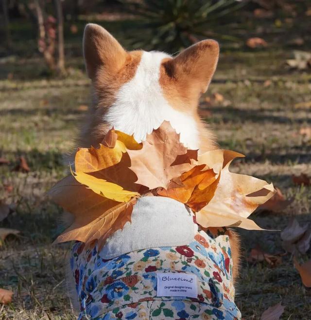 这些“微活瞬间”，是2025年的幸福具象