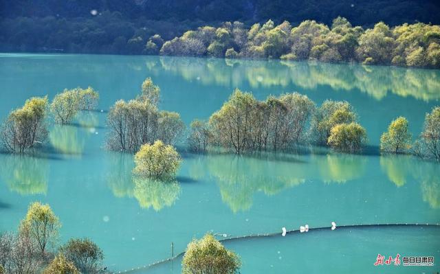 白水江遇白龙江 文县初冬藏着最动人的江河秘境